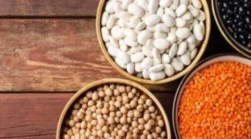 سعر كيلو الفول البلدي اليوم.. قائمة أسعار البقوليات المحدثة في أسواق كفر الشيخ 1